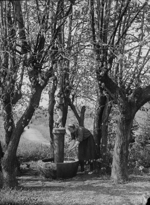 Saalfeld. Park der Villa Bergfried, Brunnen mit musizierendem Harlekin. Frau an einem Brunnen Wasser holend