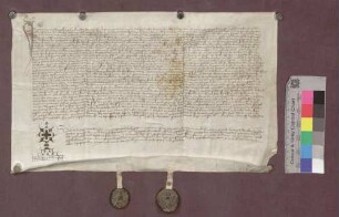 Die Banngrenze zwischen Ihringen und Bickensohl wird durch notariell beglaubigte Aussagen festgestellt.