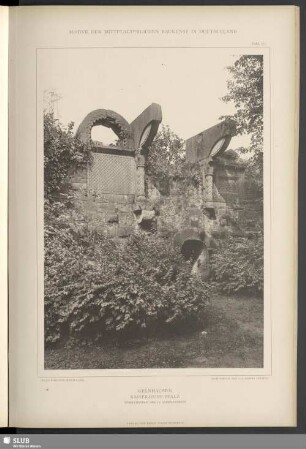 Gelnhausen, Kaiserliche Pfalz