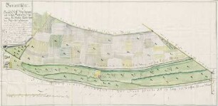 Geometrischer Grund-Riss von dennen auf beeden Seithen des sogenanten Au-Matten-Thals ligenden Fahr- und Schlittweegen