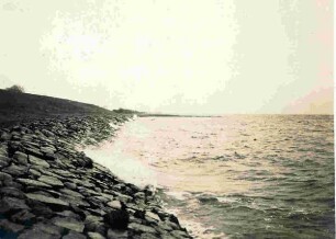 Am Elbdeich bei Kollmar an der Elbe am 08.02.1925