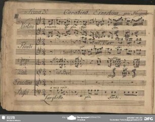 Cavatina: "Ho un cor dolce"