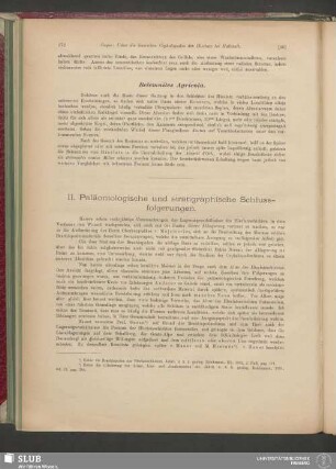 II. Paläontologische und stratigraphische Schlussfolgerungen