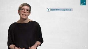 The Role of Microorganisms in the Marine Nitrogen Cycle