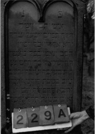Grabstein 229 (Index: 99798729) Material: Sandstein Zustand: leicht verwittert Maße HxBxT: 140x50x16 cm Beschreibung: St. m. giebelart. Abschl/kleiner Verdach/Schriftfeld m. 2fachem Rundbogenabsch/Sock.: Grabstein 229A
