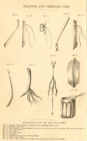 Weapons and utensils used by the natives of Borneo