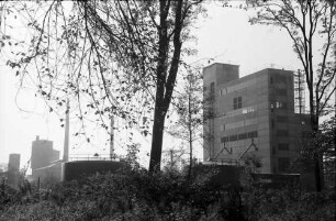 Freiburg: Neubau durch Wald gesehen