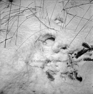 Polizei: Mord an der Hamburger Küchenhilfe Edeltraut Harloff am 26. November 1965: Oher Tannen: Leichenfundort: Fußspuren im Schnee mit Markierung: Winter