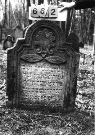Grabstein 662 (Index: 99752434) Material: Sandstein Zustand: leicht verwittert, Stele eingesunken Maße HxBxT: 100x68x9 cm Beschreibung: Stele, doppelt eingezogener Rundbogenabschluß, Schriftfeld eingetieft Symbolik: zwei Challot, Lilie Besonderheit: Zitat Genesis 25, 27: Grabstein 662