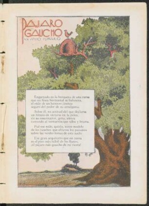 Pájaro gaucho