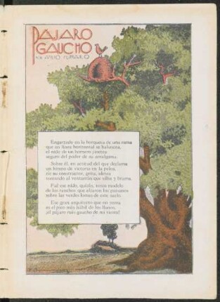 Pájaro gaucho