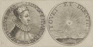 Bildnis des Franciscus, Prinz von Frankreich