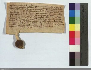 Der Offizial des Propstes von Stephan zu Mainz beauftragt den Pfarrer von Fronhausen, den vom deutschen Hause in Marburg für die Pfarre in Walgern...