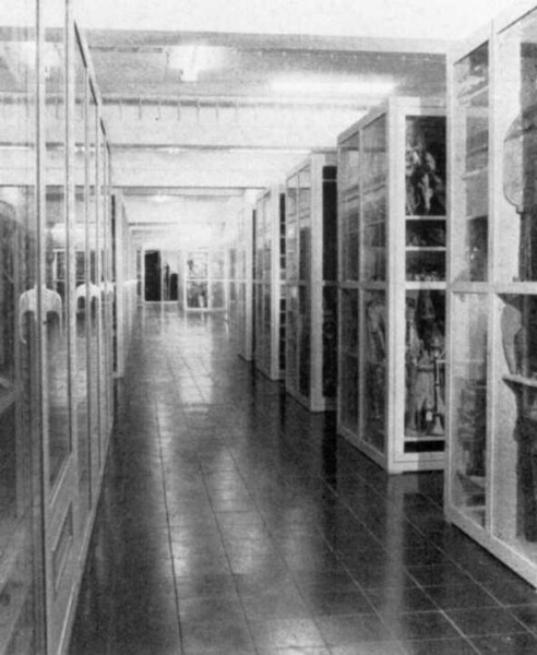 Study collection of the South Seas department (since 1969), east side of the centre room