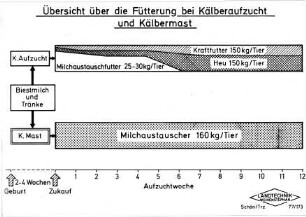 Übersicht über die Fütterung bei Kälberaufzucht und Kälbermast