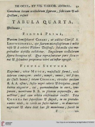 Tabula quarta
