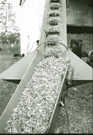 Fotografie: Ein- und Auslagerungstechnik, Häckselkette, Silomais, Hochsilo, Förderband