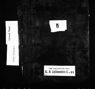 Gerichtshandelsbuch der Stadt Lichtenstein (bei Glauchau), Bd. 08