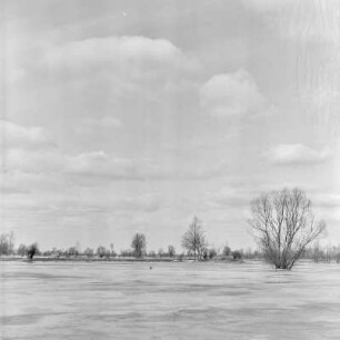 Spreewald um 1940. Überflutete Wiesen und Felder. : Błóta wokoło 1940. Přepławjene łuki a pola.