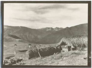 Blick von Pucará auf den Waldgürtel bei Sailapata und die Cordillera von Copacabana