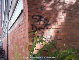 SFK DS iMR