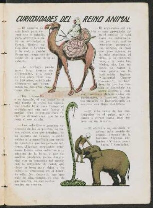 Curiosidades del reino animal