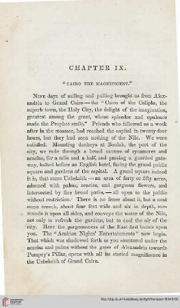 Chapter IX: Cairo the magnificent
