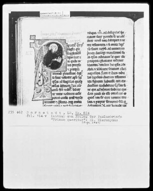 Biblia Sacra omissis psalterio et libris prophetarum — Biblia Sacra omissio psalterio et libris prophetarum (Bd. 3) — Hieronymus, Folio 164verso