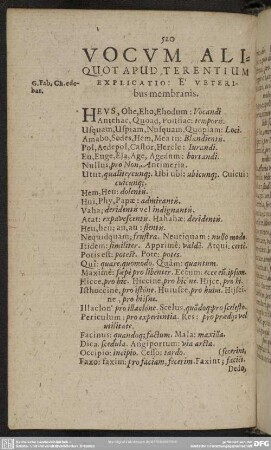 Vocum Aliquot Terentium Explicatio, E Veteribus membranis
