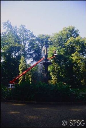 Berlin, Pfaueninsel, Ansichten, Wegebau.