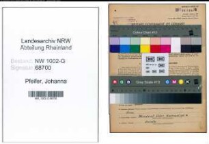 Entnazifizierung Johanna Pfeifer, geb. 02.09.1902 (Gastwirtin)