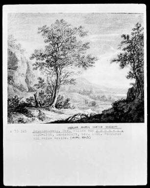 Hügelige Landschaft mit großen Bäumen im Vordergrund