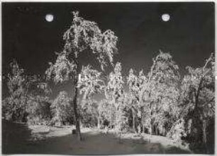 Winterlandschaft, Taunus
