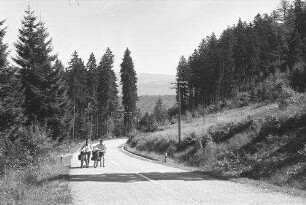 Arbersee: Waldstraße mit schiebenden Radfahrern