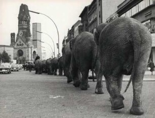 Kurfürstendamm mit den Elefanten des Zirkus Althoff