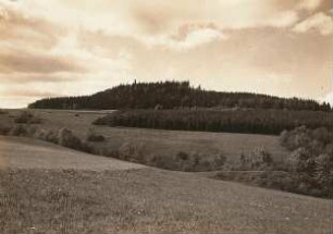 Sächsische Schweiz-Osterzgebirge. Naturschutzgebiet am Geisingberg, von Süden gesehen