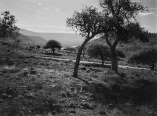 Savanne : Eine Straße führt durch eine hügelige Savannenlandschaft in Südafrika