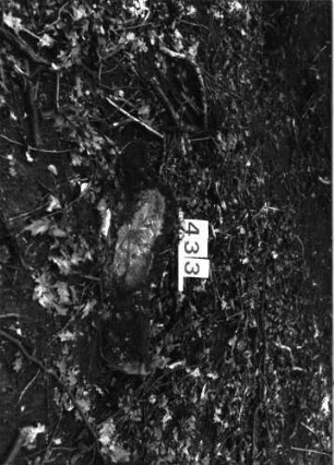 Grabstein 433 (Index: 99898052) Beschreibung: Fragment: Grabstein 433