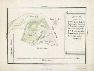 Geometrischer Grund-Riss von dem Bahn Rheinweiler ...