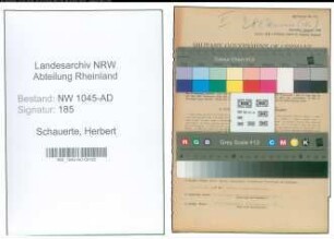 Entnazifizierung Herbert Schauerte , geb. 14.07.1920 (Angestellter)