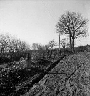 Knick: vorn links abgeholzte Bäume und Büsche: dahinter Straße, Maicomobil und weiterer Knick: rechts Acker: hinten rechts Bäume und Haus