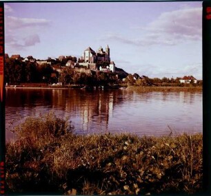 Breisach: Rhein mit Münster, vom elsässischen Ufer