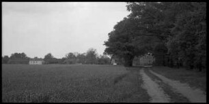 Feldweg bei Zahsow