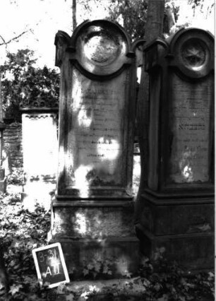 Grabstein A II/3/31