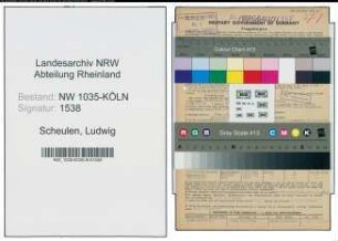Entnazifizierung Ludwig Scheulen , geb. 18.11.1891 (Prokurist)