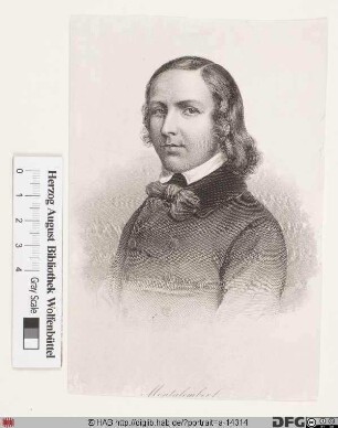 Bildnis Charles Forbes de Tryon, comte de Montalembert