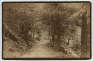 Sächsische Schweiz. Weg im Wehlener Grund