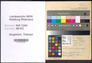 Entnazifizierung Theodor Zingsheim , geb. 28.03.1893 (Dachdecker)
