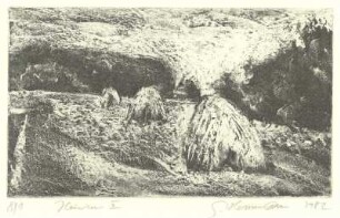 Heuwiese II