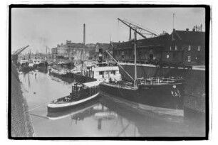 Diana (1901), Neptun